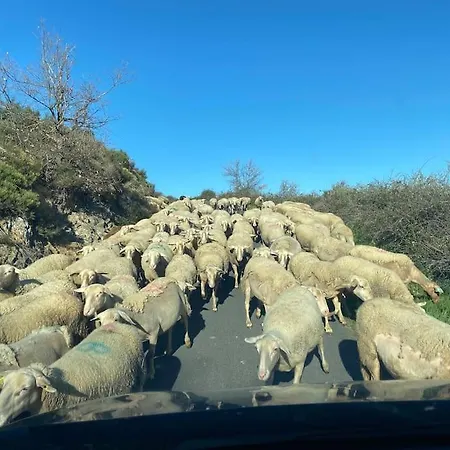 Nyaraló Les Voutes Du Chambon