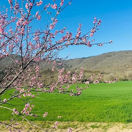 Les Voutes Du Chambon Holiday home *