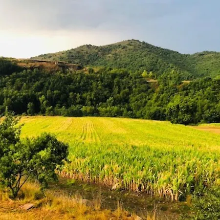 Les Voutes Du Chambon Blassac